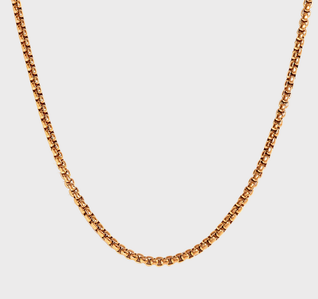 Aurelia Gold  Rope Chain Necklace